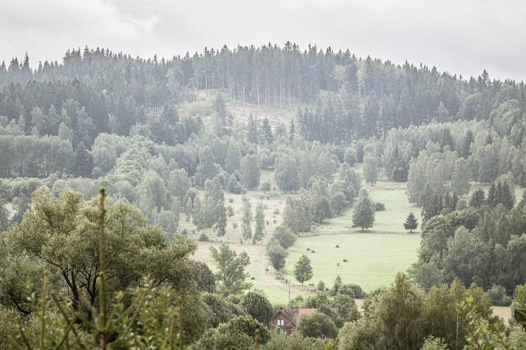 mountains, nature, slope, stok, forests, landscape, trees, travel, tourism, summer, hike, hall, holiday, europe, poland, natural