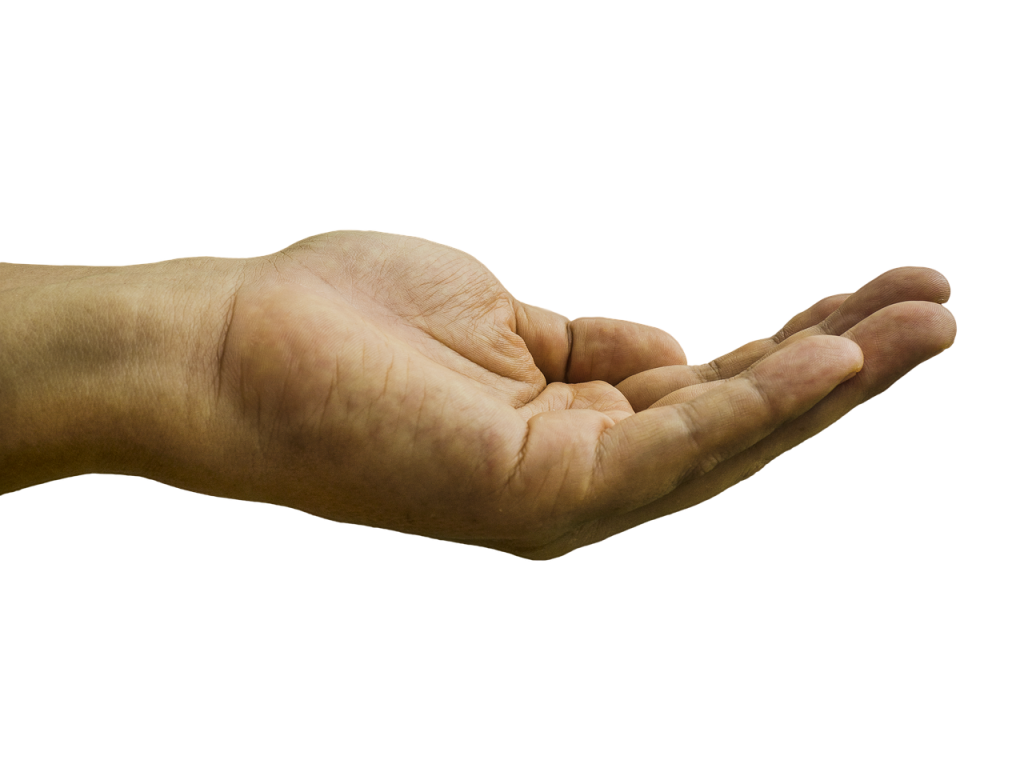 hand, palm, palm up, begging, receiving, showing, person, open, gesture, hand, hand, hand, hand, hand, palm, palm, palm, begging, begging