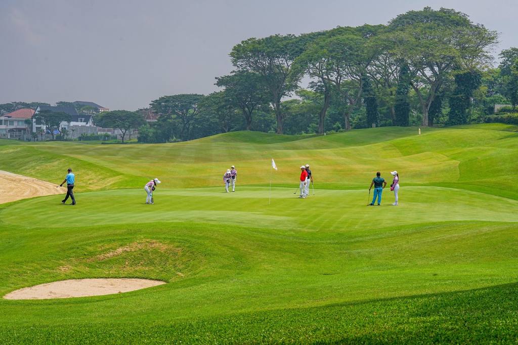 golf, sport, golfer, stadium, lapangan, golf field, field, nature, tree