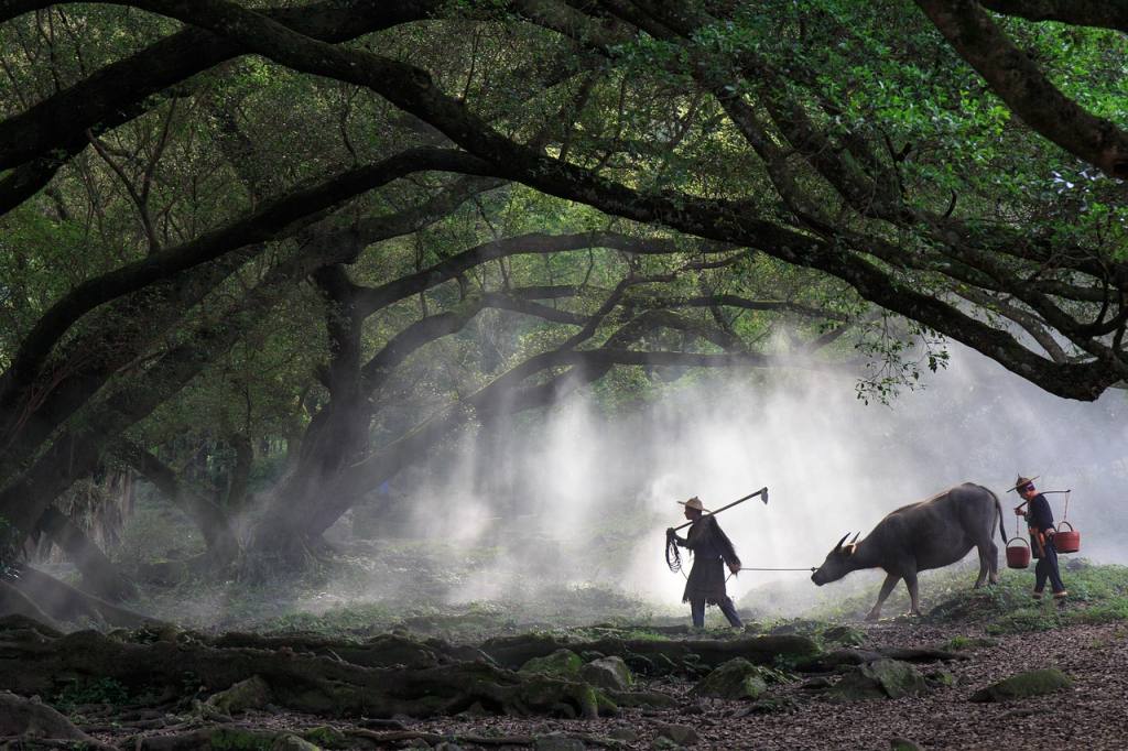 xiapu, yang creek, landscape