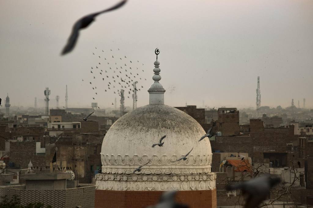 birds, religion, nature, islam